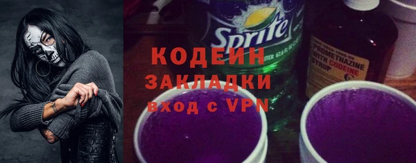 молекула духа Майский