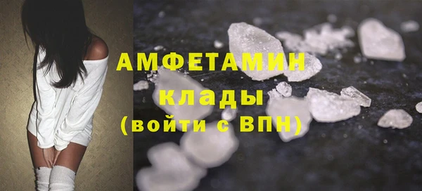 хмурый Магас