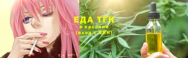 хмурый Магас