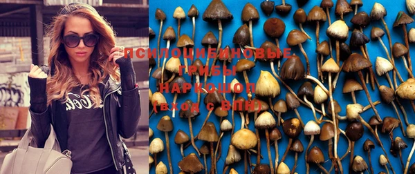 spice Михайловск