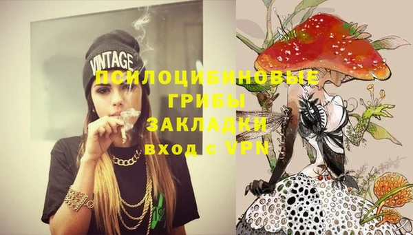 молекула духа Майский