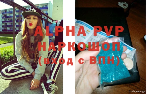 хмурый Магас
