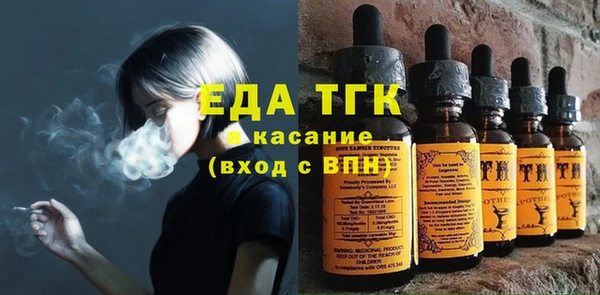 хмурый Магас