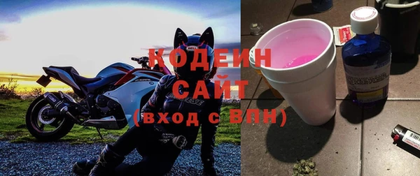 хмурый Магас