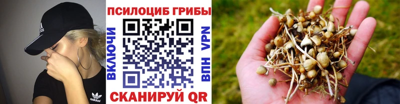 Псилоцибиновые грибы ЛСД  Ярославль 