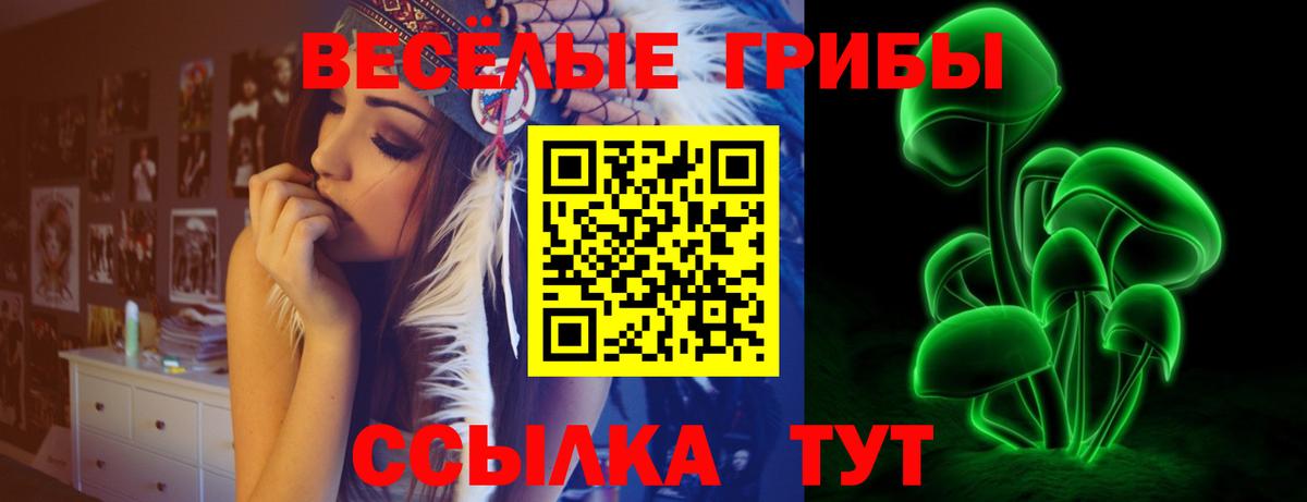 Галлюциногенные грибы ЛСД Россия