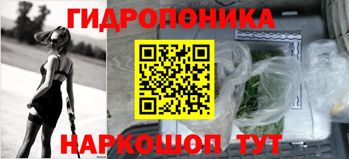 Бошки Шишки планчик Россия